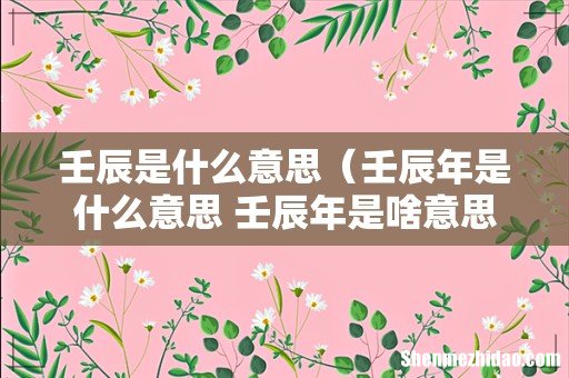 壬辰年是什么意思 壬辰年是啥意思的呢 壬辰是什么意思