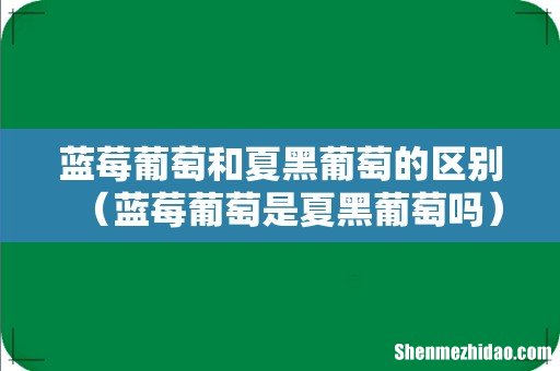 蓝莓葡萄是夏黑葡萄吗 蓝莓葡萄和夏黑葡萄的区别