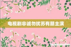 电视剧非诚勿扰苏有朋主演