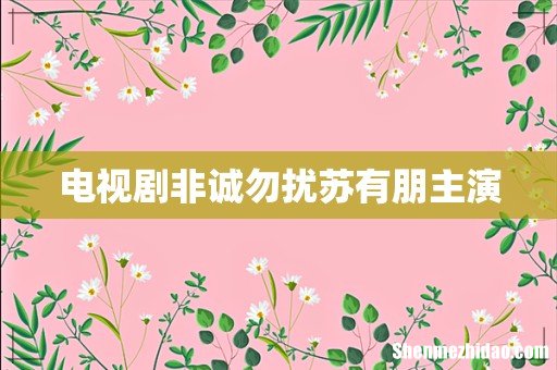 电视剧非诚勿扰苏有朋主演