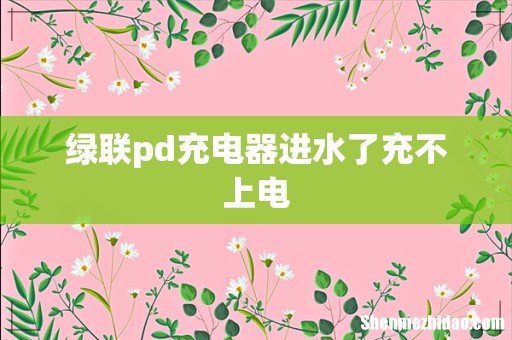 绿联pd充电器进水了充不上电