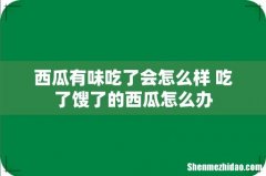 西瓜有味吃了会怎么样 吃了馊了的西瓜怎么办