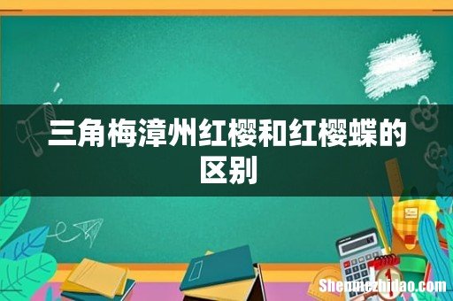 三角梅漳州红樱和红樱蝶的区别