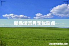 新品诺言月季优缺点