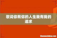 歌词你有你的人生我有我的追求
