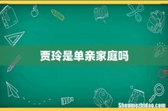 贾玲是单亲家庭吗