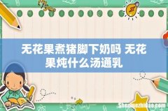 无花果煮猪脚下奶吗 无花果炖什么汤通乳