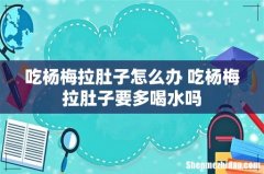 吃杨梅拉肚子怎么办 吃杨梅拉肚子要多喝水吗