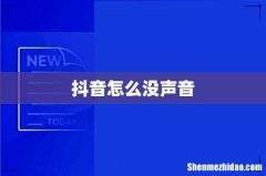 抖音怎么没声音
