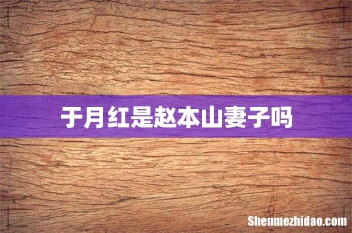 于月红是赵本山妻子吗