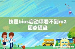 技嘉bios启动项看不到m2固态硬盘