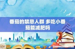 番茄的禁忌人群 多吃小番茄能减肥吗