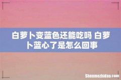 白萝卜变蓝色还能吃吗 白萝卜蓝心了是怎么回事