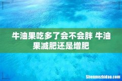 牛油果吃多了会不会胖 牛油果减肥还是增肥