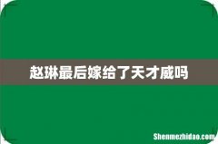 赵琳最后嫁给了天才威吗