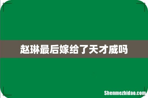 赵琳最后嫁给了天才威吗