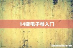 14键电子琴入门