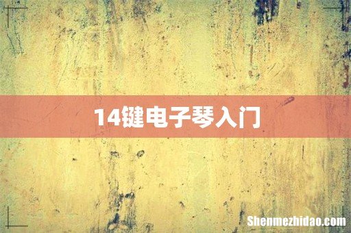 14键电子琴入门