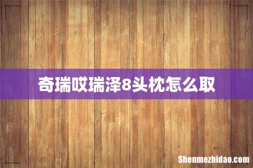 奇瑞哎瑞泽8头枕怎么取