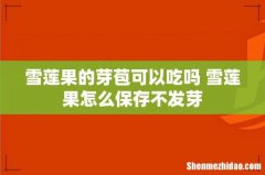 雪莲果的芽苞可以吃吗 雪莲果怎么保存不发芽
