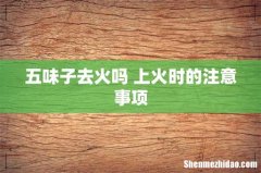 五味子去火吗 上火时的注意事项