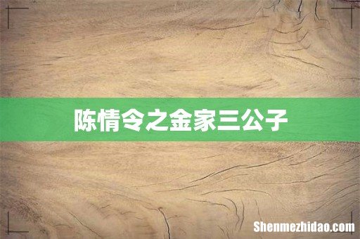 陈情令之金家三公子