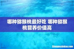 哪种猕猴桃最好吃 哪种猕猴桃营养价值高