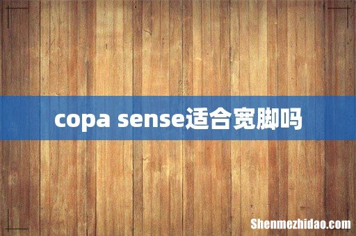copa sense适合宽脚吗
