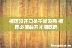 榴莲没开口是不是没熟 榴莲必须裂开才能吃吗