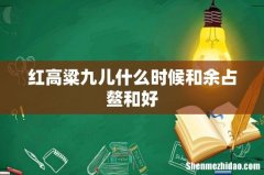 红高粱九儿什么时候和余占鳌和好