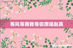 等风等雨我等你原唱赵真