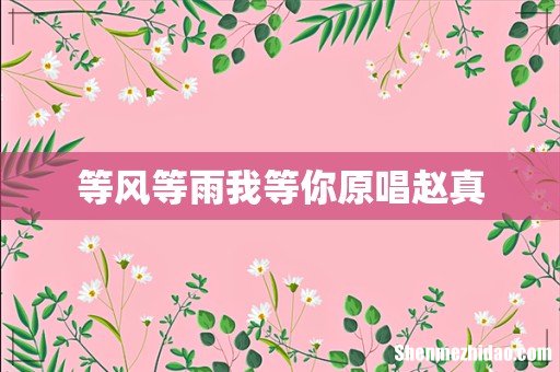 等风等雨我等你原唱赵真