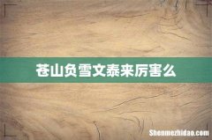 苍山负雪文泰来厉害么