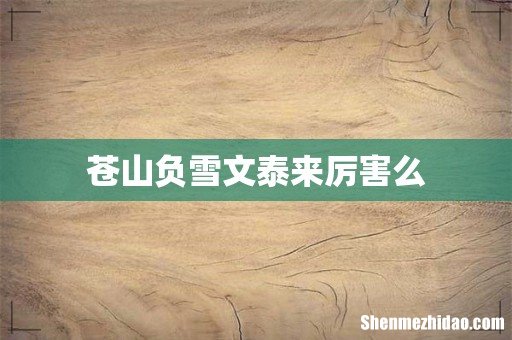 苍山负雪文泰来厉害么