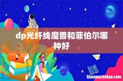 dp光纤线魔兽和菲伯尔哪种好