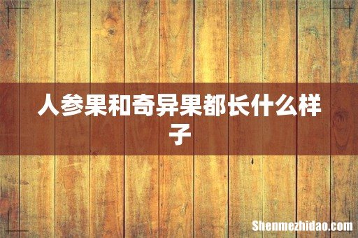 人参果和奇异果都长什么样子