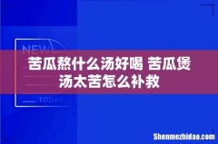 苦瓜熬什么汤好喝 苦瓜煲汤太苦怎么补救