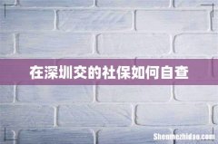 在深圳交的社保如何自查
