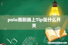 polo雨刷器上Tip是什么开关