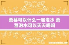 桑葚可以什么一起泡水 桑葚泡水可以天天喝吗