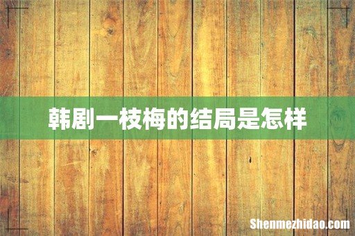 韩剧一枝梅的结局是怎样