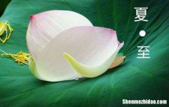 2017有多少天伏天 2017今天几伏第几天