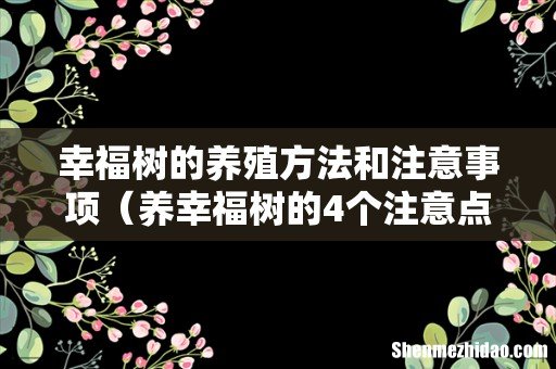 养幸福树的4个注意点 幸福树的养殖方法和注意事项