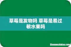 草莓是发物吗 草莓是易过敏水果吗