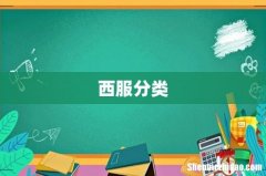 西服分类