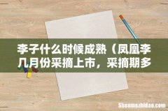 凤凰李几月份采摘上市，采摘期多少天 李子什么时候成熟