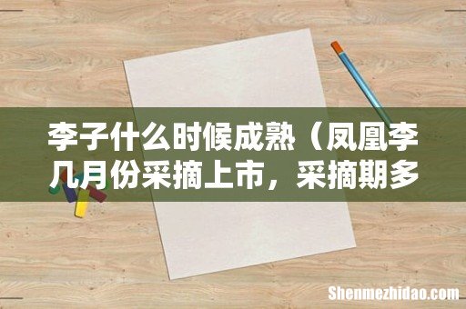 凤凰李几月份采摘上市,采摘期多少天 李子什么时候成熟