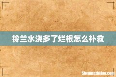 铃兰水浇多了烂根怎么补救