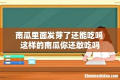 南瓜里面发芽了还能吃吗 这样的南瓜你还敢吃吗