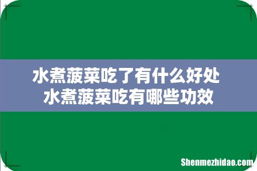 水煮菠菜吃了有什么好处 水煮菠菜吃有哪些功效